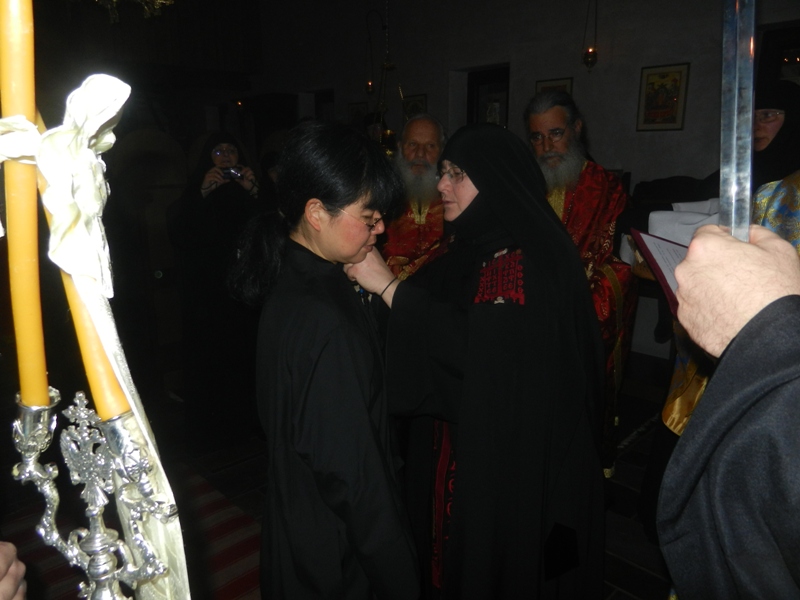 rasoforia_monaxis_5.JPG