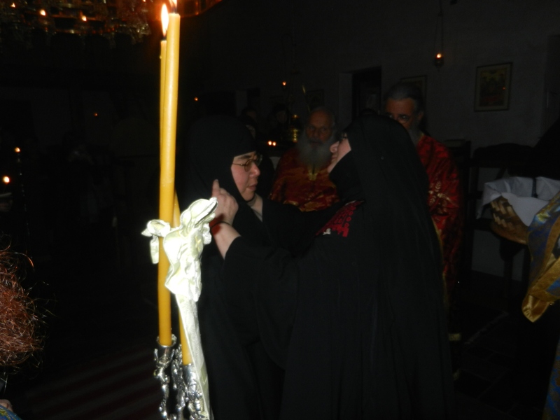 rasoforia_monaxis_6.JPG