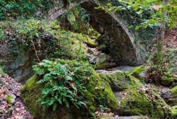 Το μυστικό χωριό στο Πήλιο που ενώνεται με την Τσαγκαράδα με ένα τοξωτό γεφύρι