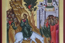 ΜΗΝΥΜΑ ΣΕΒΑΣΜΙΩΤΑΤΟΥ ΜΗΤΡΟΠΟΛΙΤΟΥ ΔΗΜΗΤΡΙΑΔΟΣ  ΚΑΙ ΑΛΜΥΡΟΥ κ. ΙΓΝΑΤΙΟΥ ΓΙΑ ΤΗΝ ΚΥΡΙΑΚΗ ΤΩΝ ΒΑΙΩΝ 2026