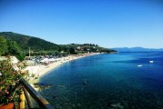 Κυκλοφορήθηκε το Εβδομαδιαίο Ενημερωτικό Δελτίο της Ι. Μ. Δημητριάδος «Εισοδικόν» τευχ. 385