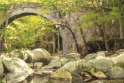 Μια δράση της «Μαγνήτων Κιβωτού» στο πλαίσιο διαφύλαξης της πολιτιστικής κληρονομιάς & των παραδοσιακών πέτρινων γεφυριών του Πηλίου και της Όθρυος