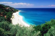 Κυκλοφορήθηκε το Εβδομαδιαίο Ενημερωτικό Δελτίο της Ι. Μ. Δημητριάδος «Εισοδικόν» τευχ. 538