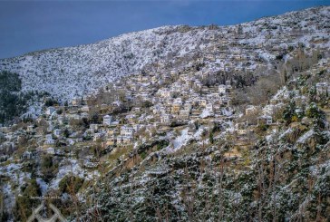 Κυκλοφορήθηκε το Εβδομαδιαίο Ενημερωτικό Δελτίο της Ι. Μ. Δημητριάδος «Εισοδικόν» τευχ. 665