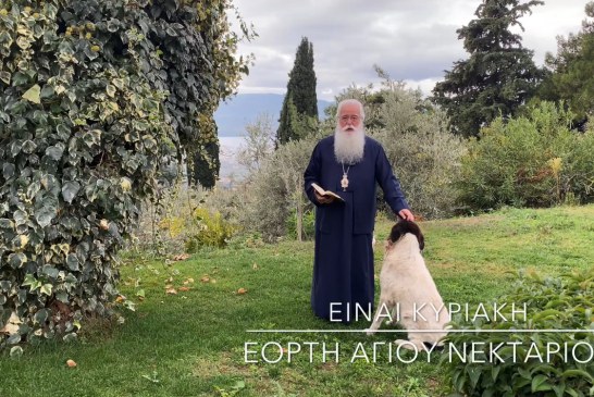 Ο ΔΗΜΗΤΡΙΑΔΟΣ ΙΓΝΑΤΙΟΣ ΣΕ 60’’ – ΕΙΝΑΙ ΚΥΡΙΑΚΗ Ζ΄ ΛΟΥΚΑ – ΕΟΡΤΗ ΑΓ.ΝΕΚΤΑΡΙΟΥ (video)