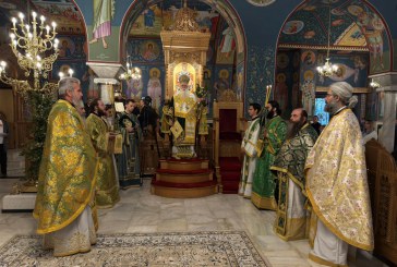 Με λαμπρότητα η Κυριακή των Βαΐων στο Βόλο(video)