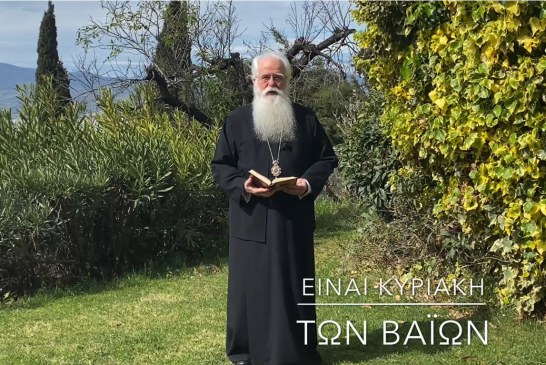 Ο ΔΗΜΗΤΡΙΑΔΟΣ ΙΓΝΑΤΙΟΣ ΣΕ 60’’ – ΕΙΝΑΙ ΚΥΡΙΑΚΗ ΤΩΝ ΒΑΪΩΝ (video)