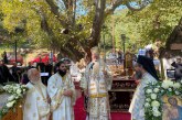 Δημητριάδος Ιγνάτιος: «Η οικογένεια και τα παιδιά, είναι η περιουσία μας!» – Λαμπρή η Πανήγυρις της Παναγίας Ξενιάς (video)