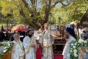 Δημητριάδος Ιγνάτιος: «Η οικογένεια και τα παιδιά, είναι η περιουσία μας!» – Λαμπρή η Πανήγυρις της Παναγίας Ξενιάς (video)