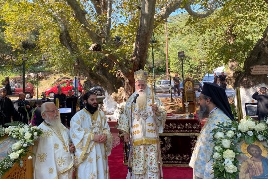 Δημητριάδος Ιγνάτιος: «Η οικογένεια και τα παιδιά, είναι η περιουσία μας!» – Λαμπρή η Πανήγυρις της Παναγίας Ξενιάς (video)